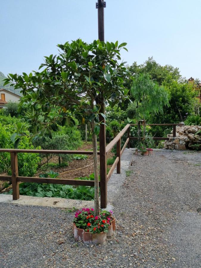 לינה וארוחת בוקר מראטיאה Il Ruscello מראה חיצוני תמונה